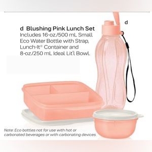 Tupperware Blushing Pink Lunch 3pc Set
